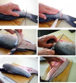 Морской судак на гриле и как подготовить филе рыбы