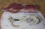 Фаршированные кальмары, запеченные в духовке