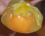 Как приготовить яйца-пашот